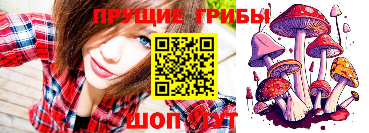 Галлюциногенные грибы MAGIC MUSHROOMS  Вход с VPN  где продают наркотики  Кунгур 